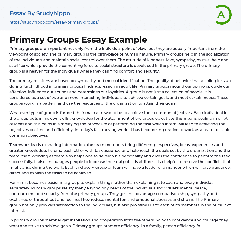 Primary Groups Essay Example