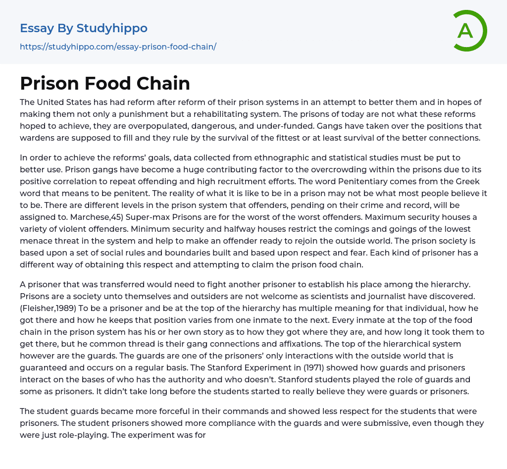 Prison Food Chain Essay Example