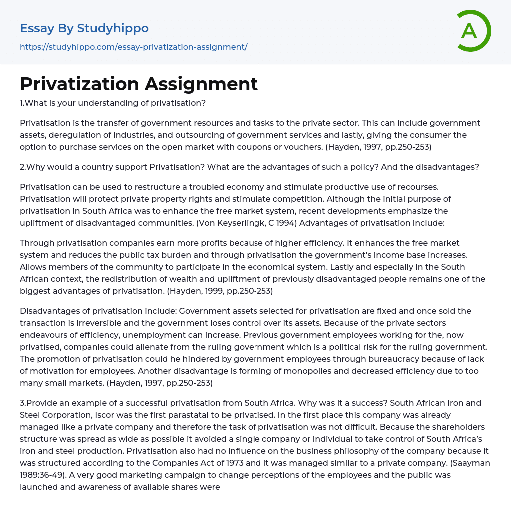 Privatization Assignment Essay Example