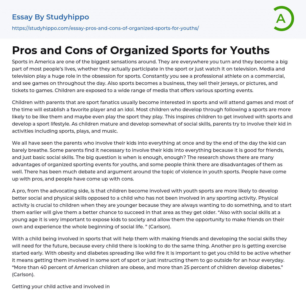 Pros and Cons of Organized Sports for Youths Essay Example