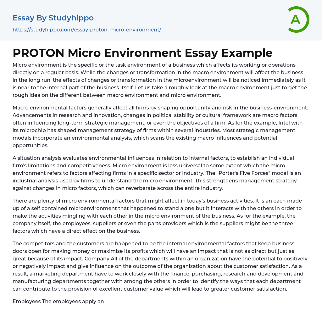 PROTON Micro Environment Essay Example