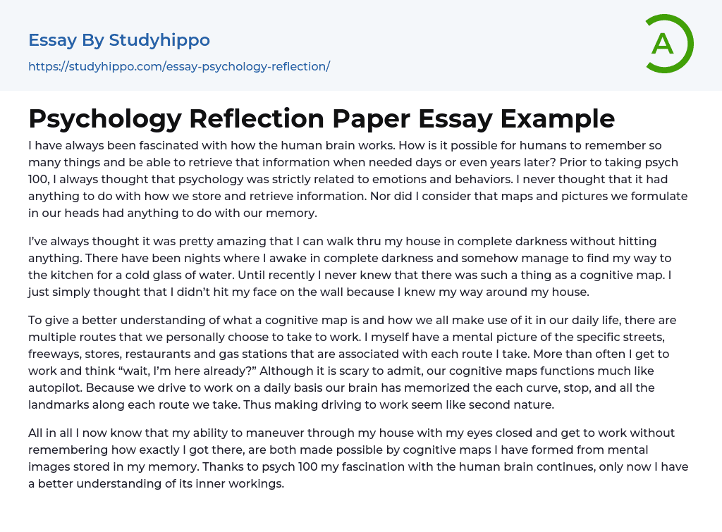 psychology reflection essay