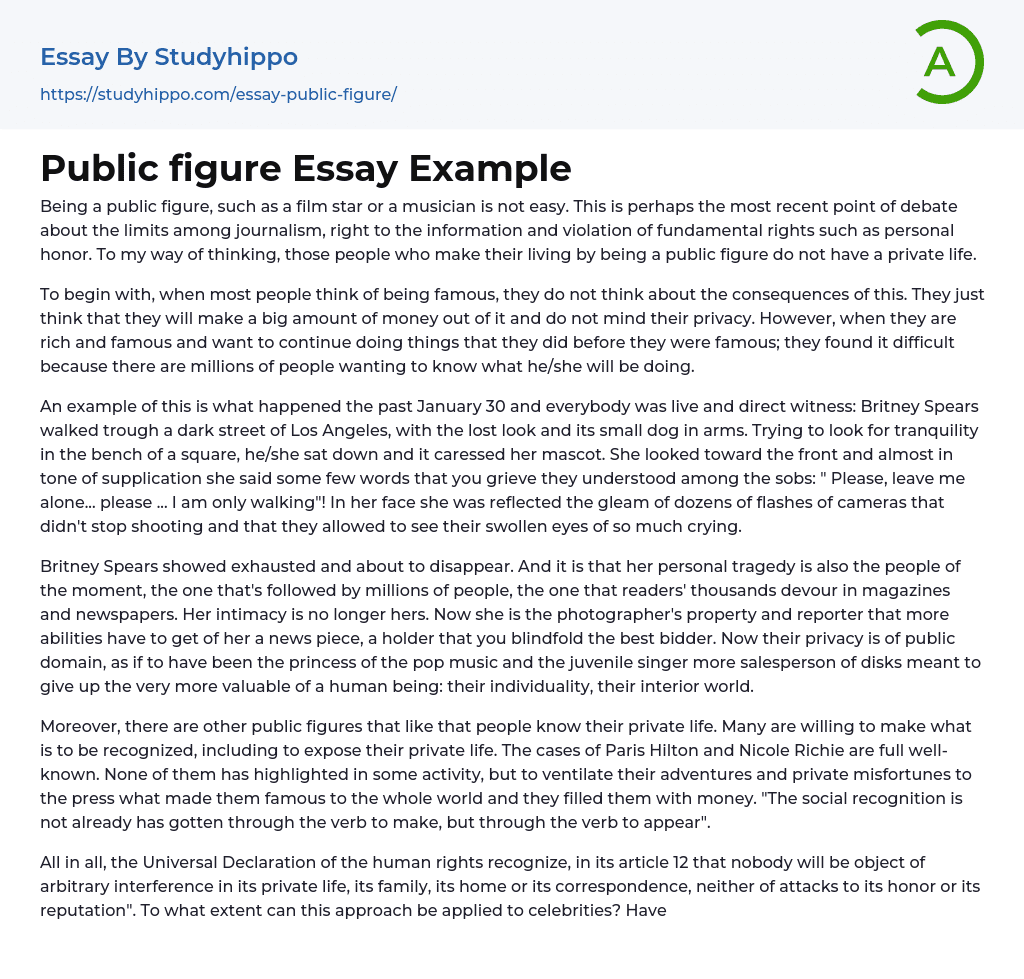 Public Figure Essay Example StudyHippo