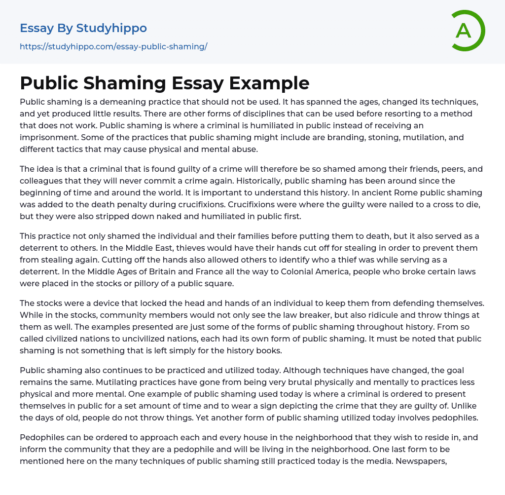 Public Shaming Essay Example
