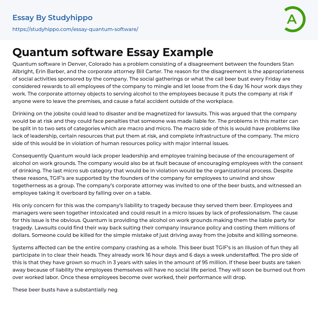 Quantum software Essay Example