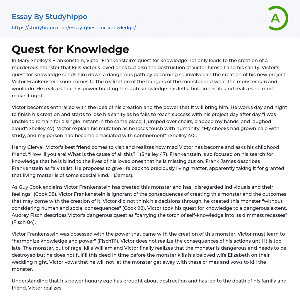 Quest for Knowledge Essay Example