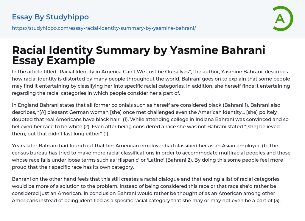 Racial Identity Summary by Yasmine Bahrani Essay Example