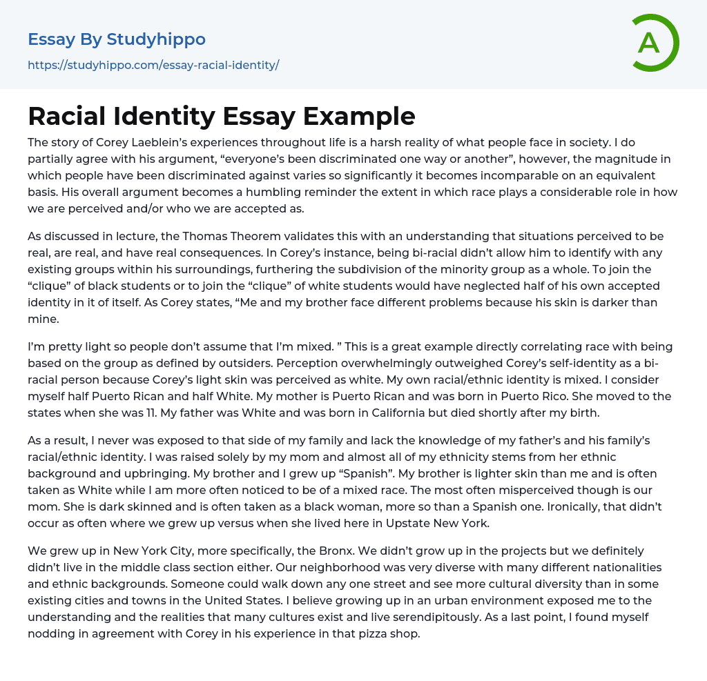 Racial Identity Essay Example