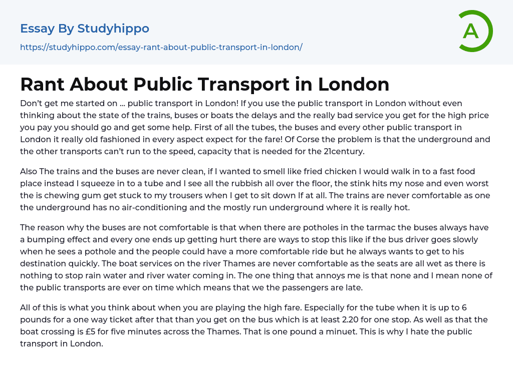 Rant About Public Transport in London Essay Example