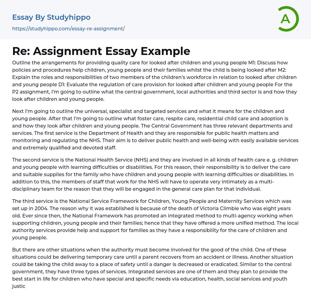 Re: Assignment Essay Example