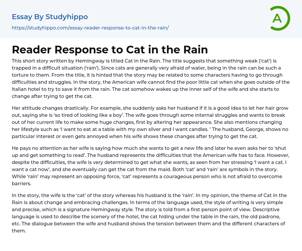 Reader Response to Cat in the Rain Essay Example