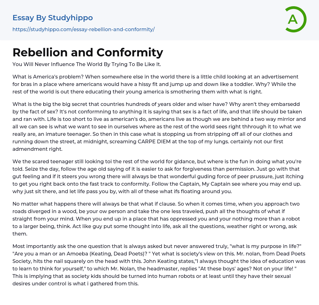 Rebellion and Conformity Essay Example