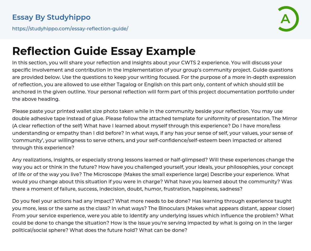 Reflection Guide Essay Example