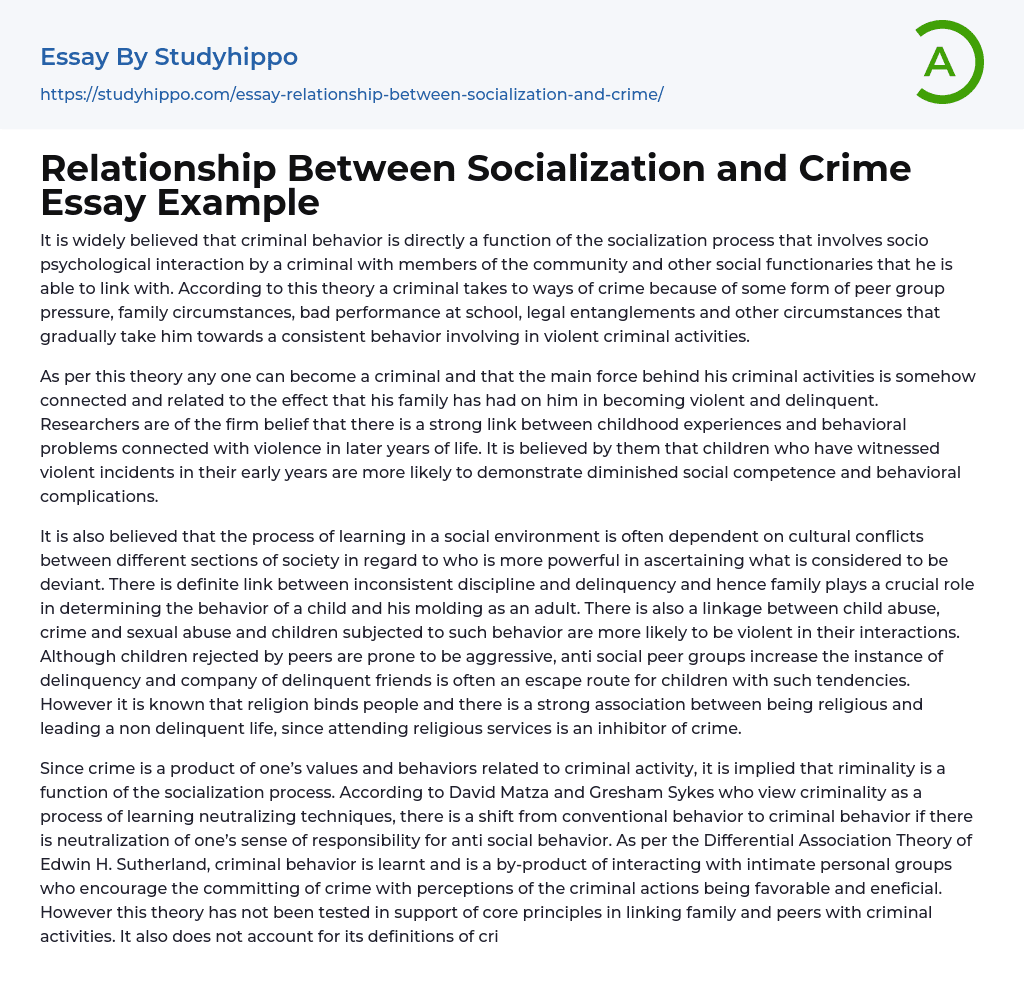 Relationship Between Socialization and Crime Essay Example