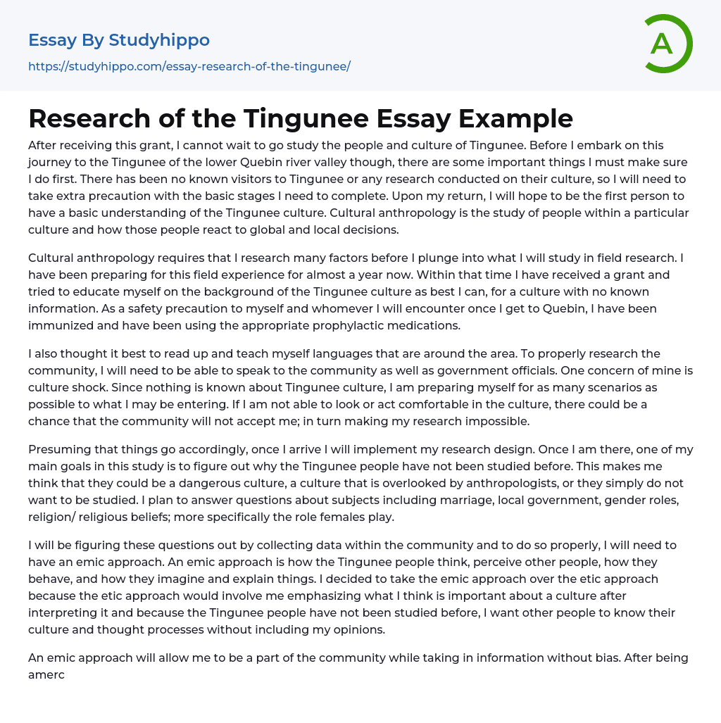 Research of the Tingunee Essay Example
