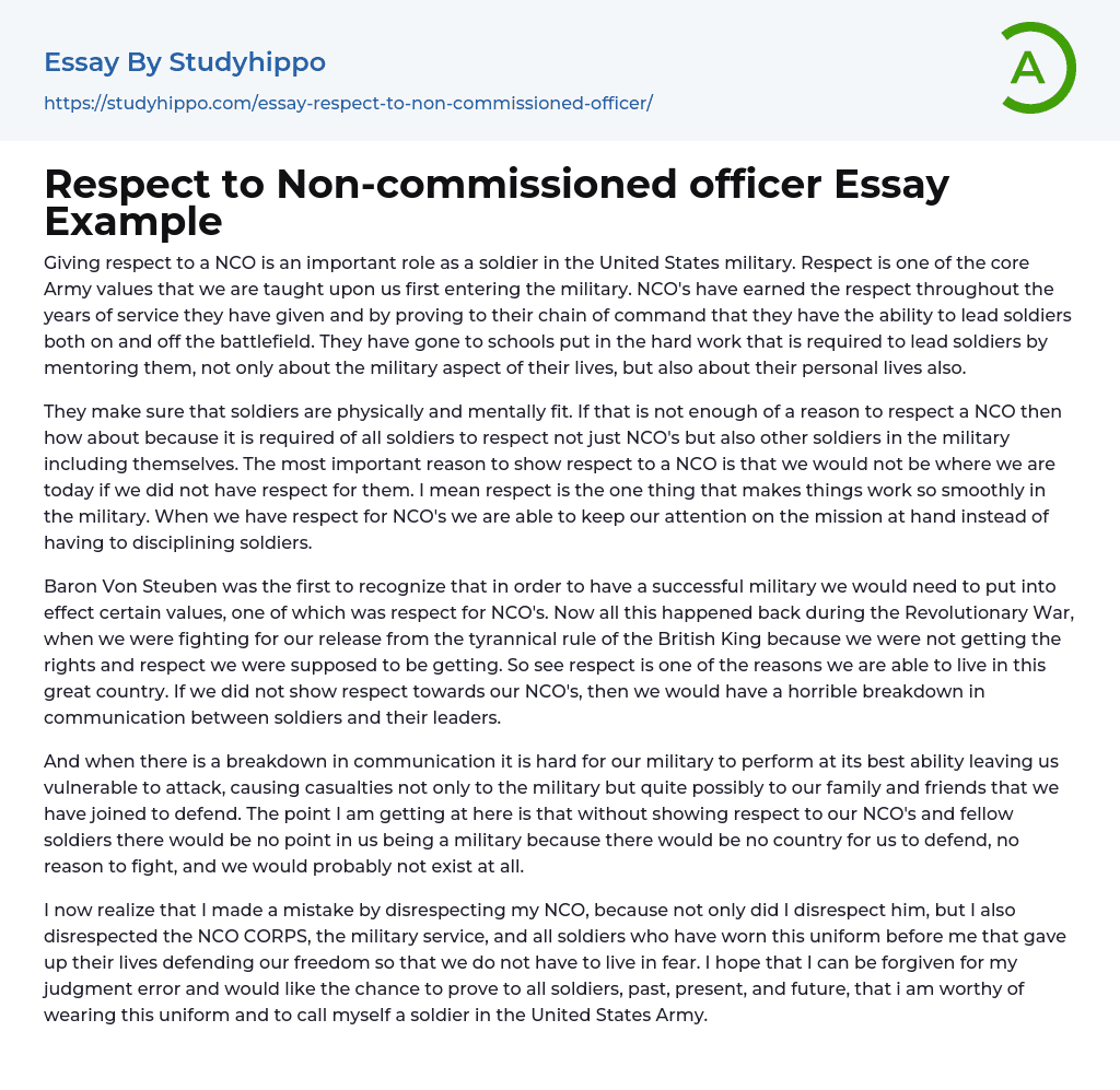 Respect to Non-commissioned officer Essay Example