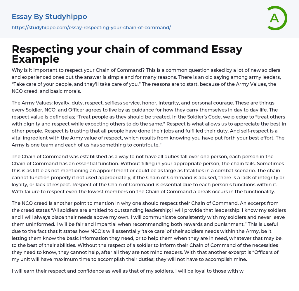 Respecting your chain of command Essay Example