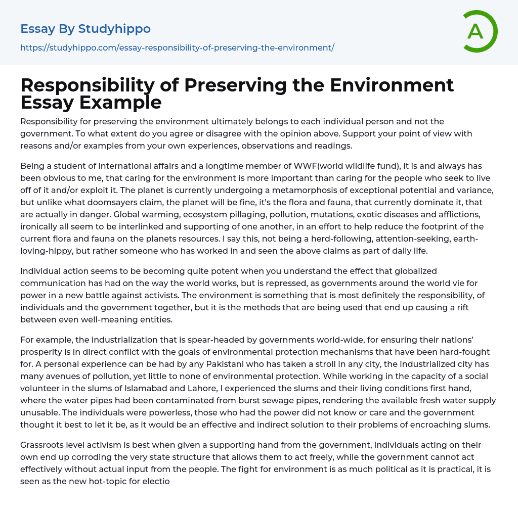 Responsibility of Preserving the Environment Essay Example