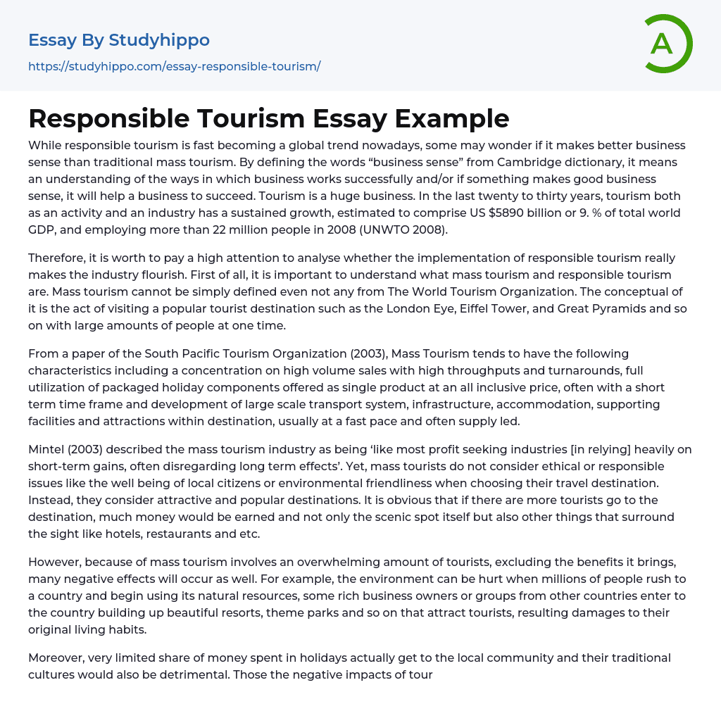 Responsible Tourism Essay Example StudyHippo