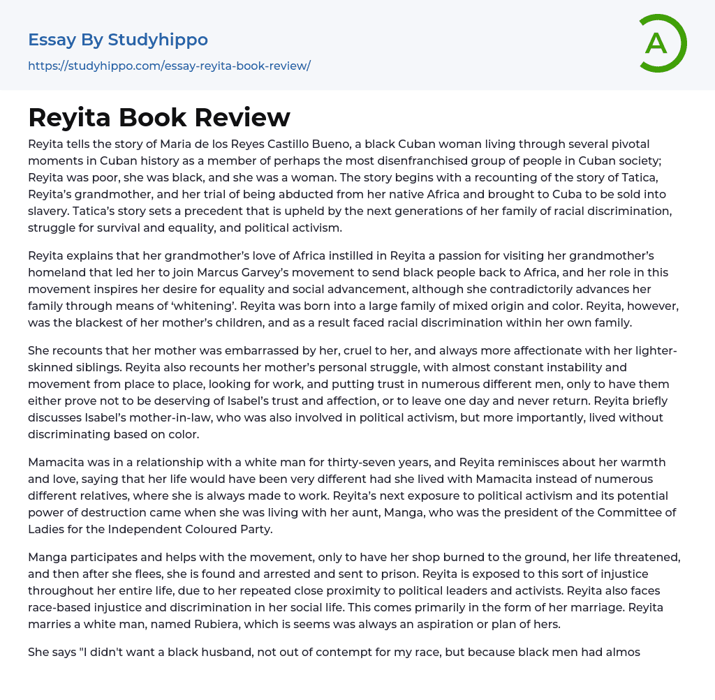Reyita Book Review Essay Example
