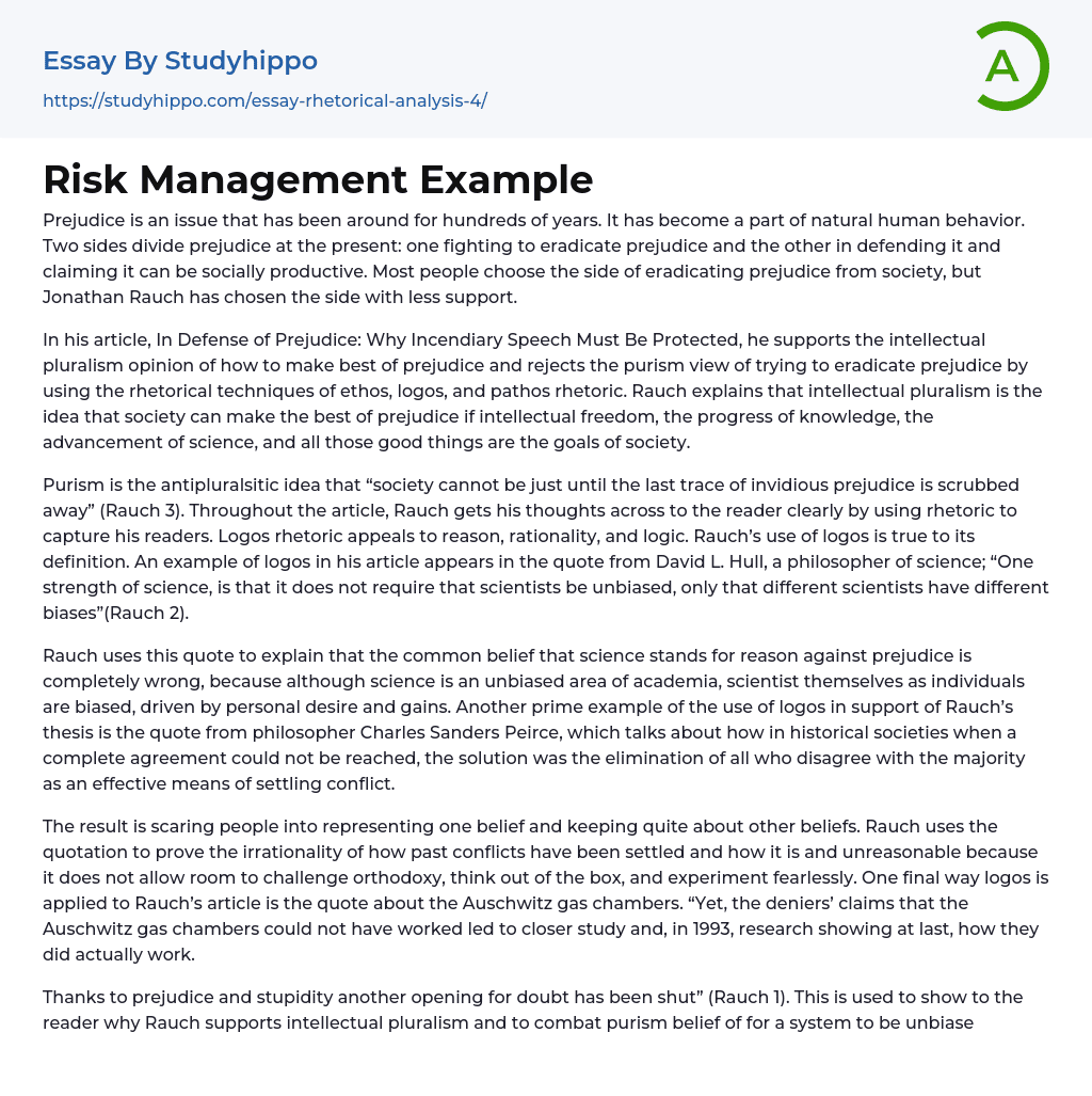 Risk Management Example Essay Example