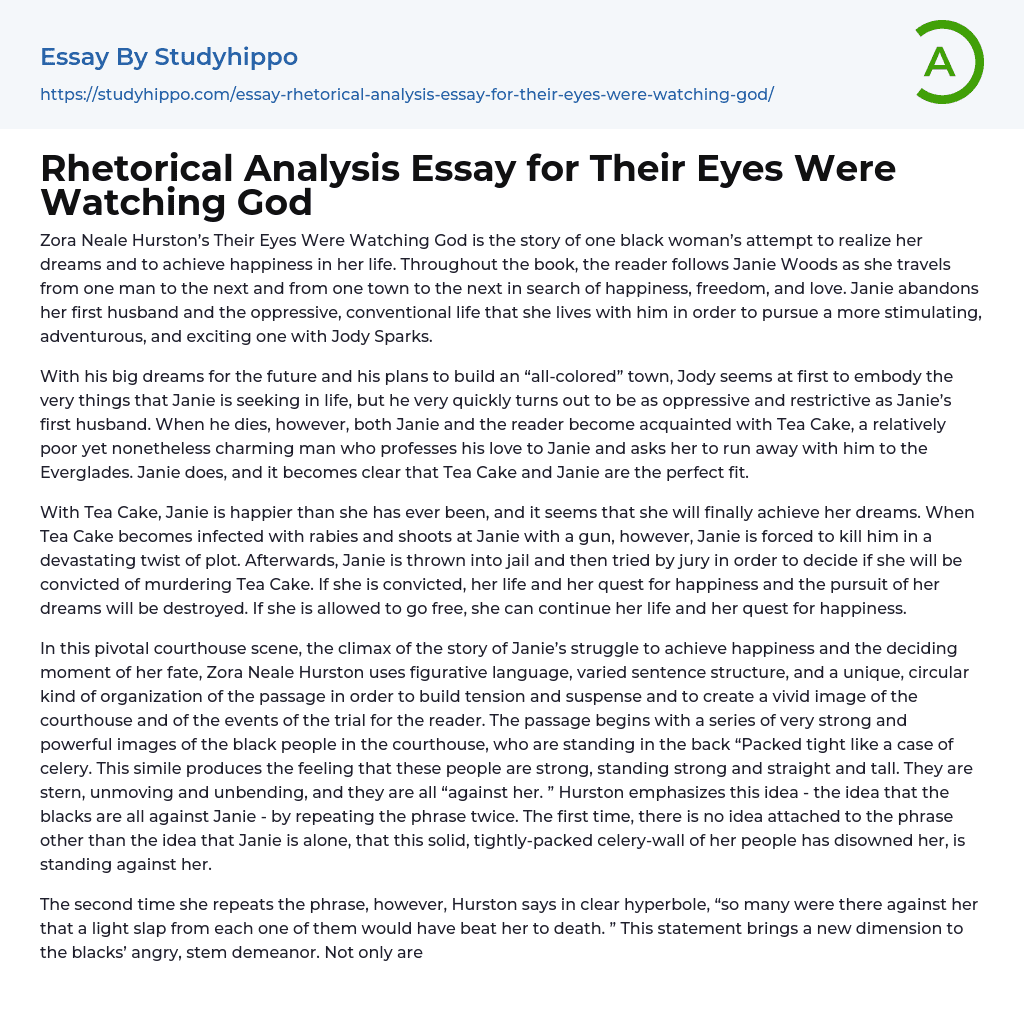 Rhetorical Analysis Essay for Their Eyes Were Watching God