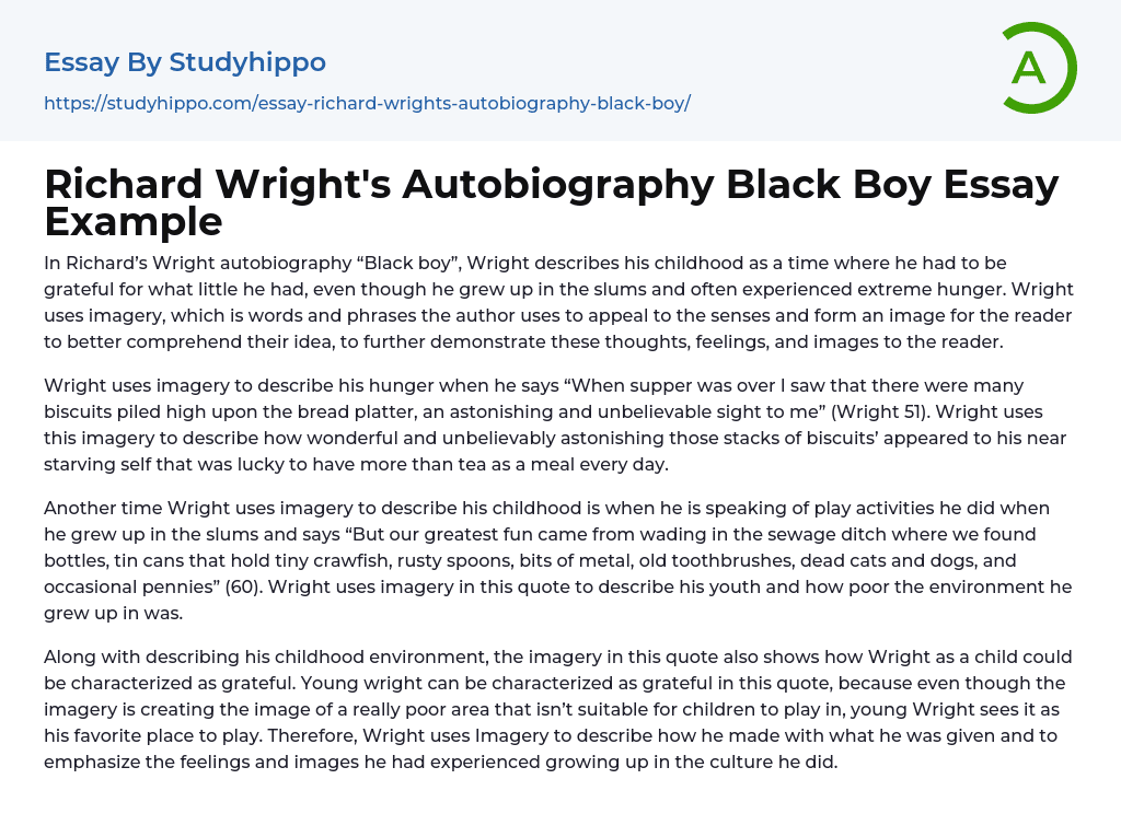 Richard Wright’s Autobiography Black Boy Essay Example