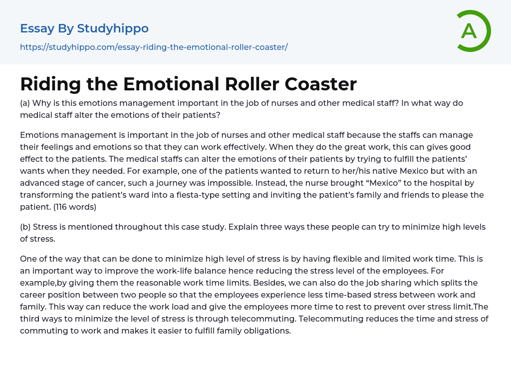 Riding the Emotional Roller Coaster Essay Example