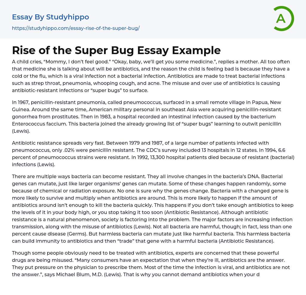 Rise of the Super Bug Essay Example