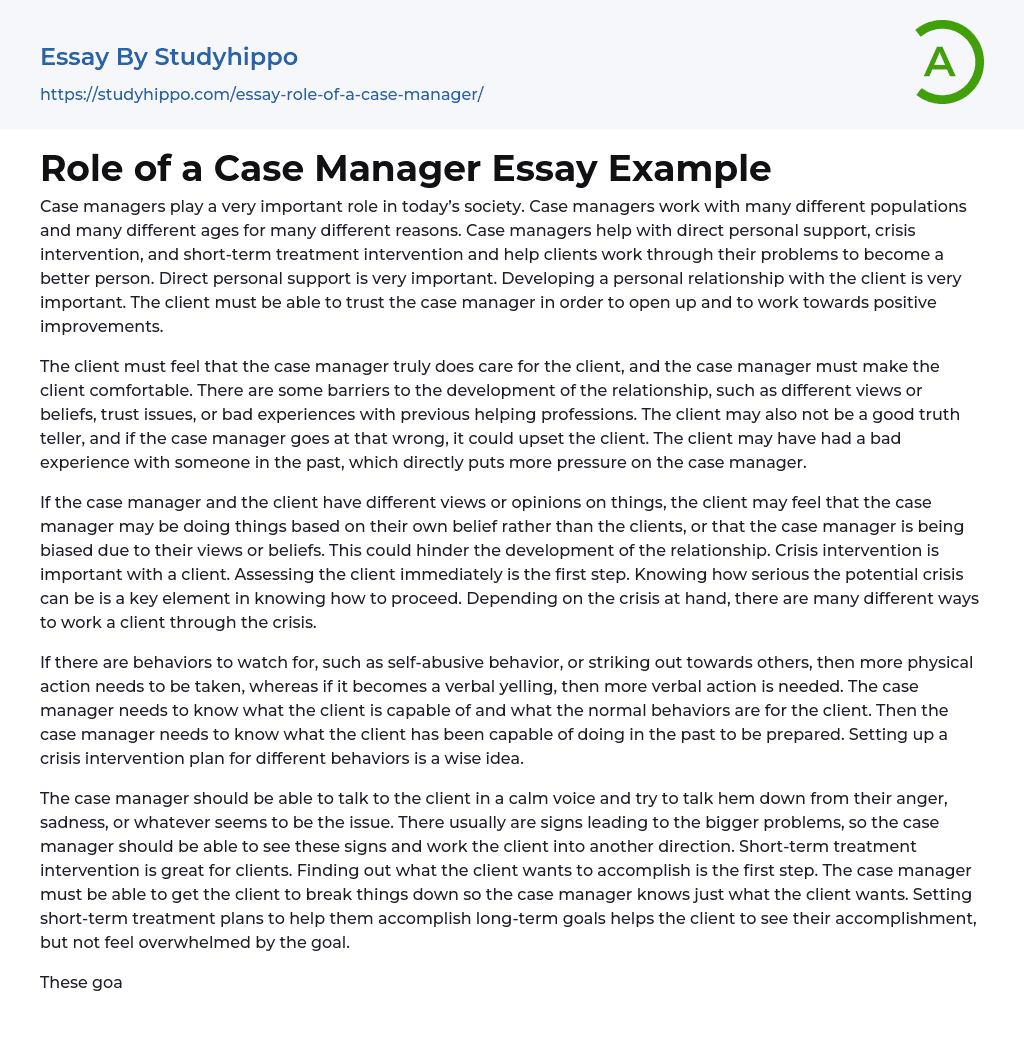 Role of a Case Manager Essay Example
