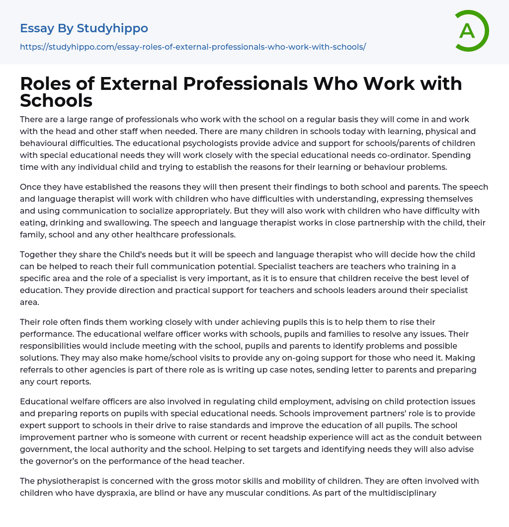 Roles of External Professionals Who Work with Schools Essay Example