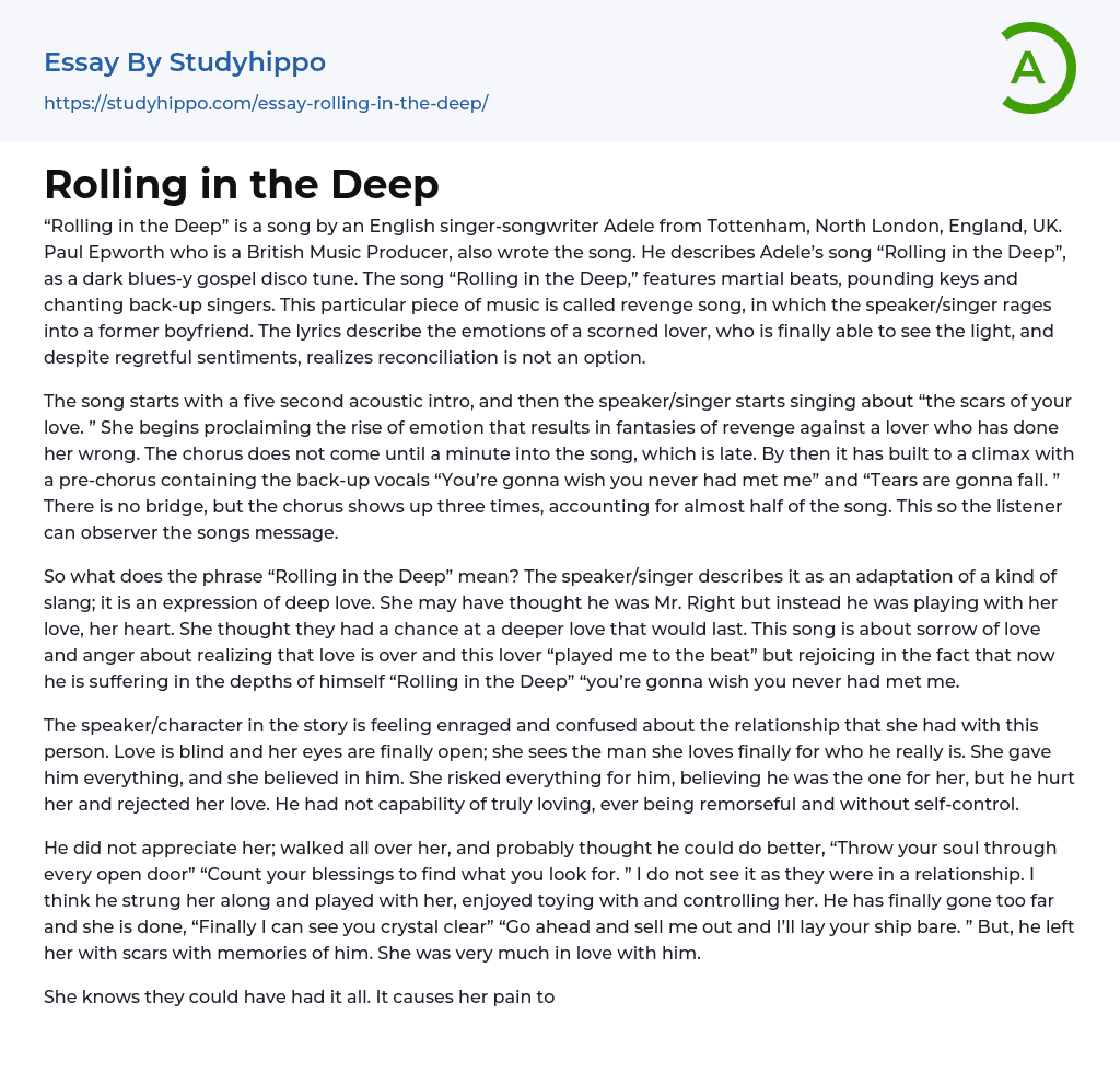 Rolling in the Deep Essay Example