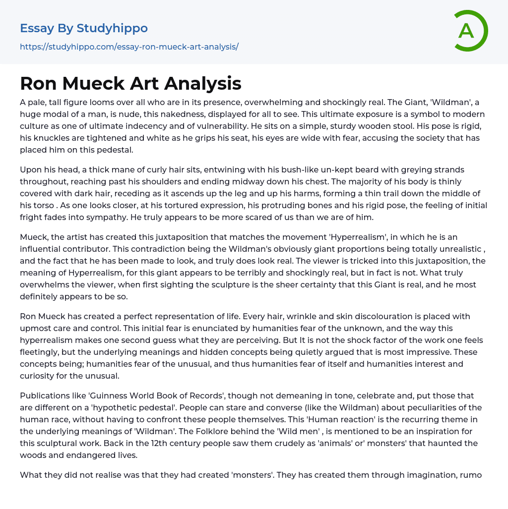 Ron Mueck Art Analysis Essay Example