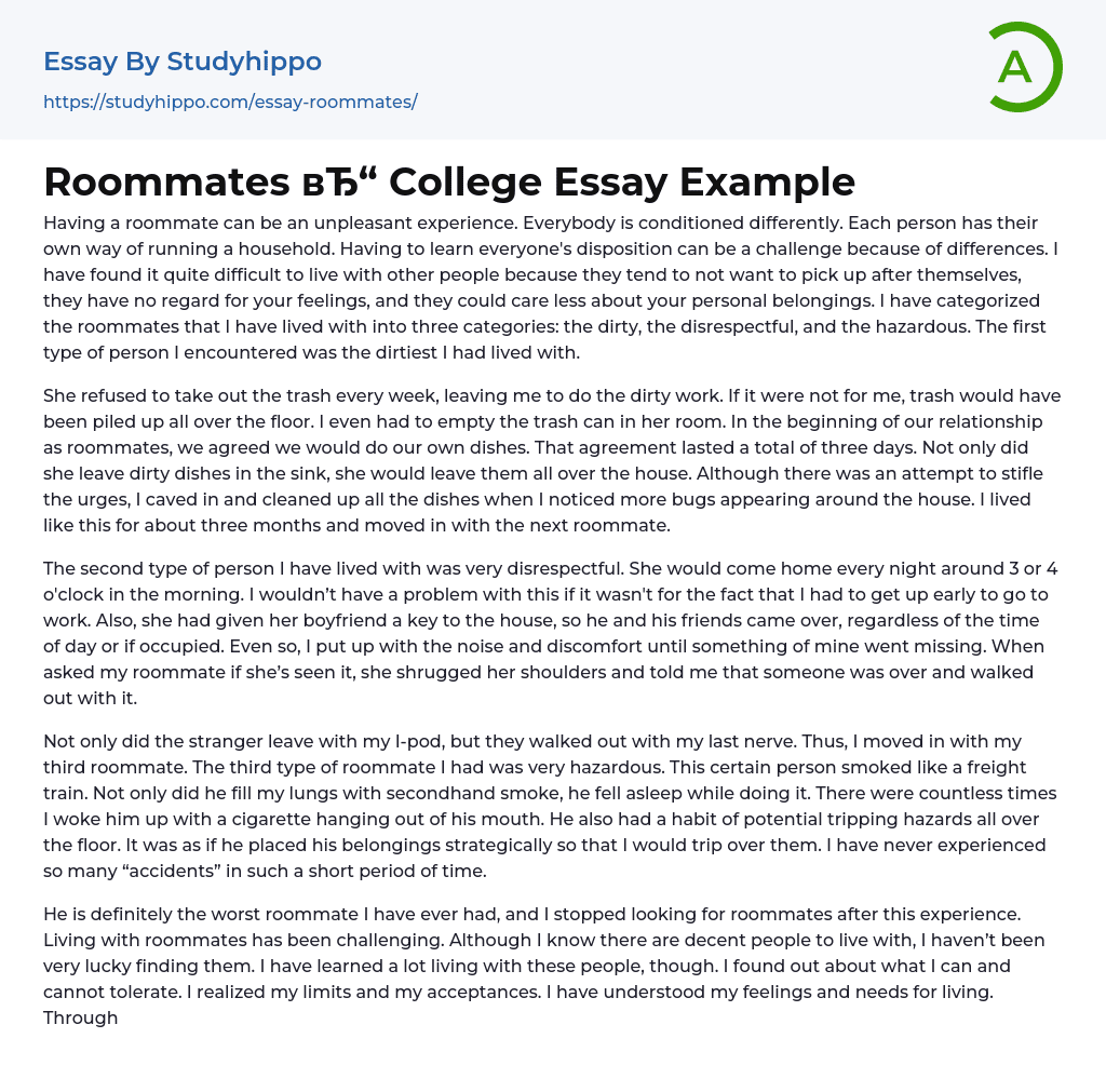 Roommates College Essay Example
