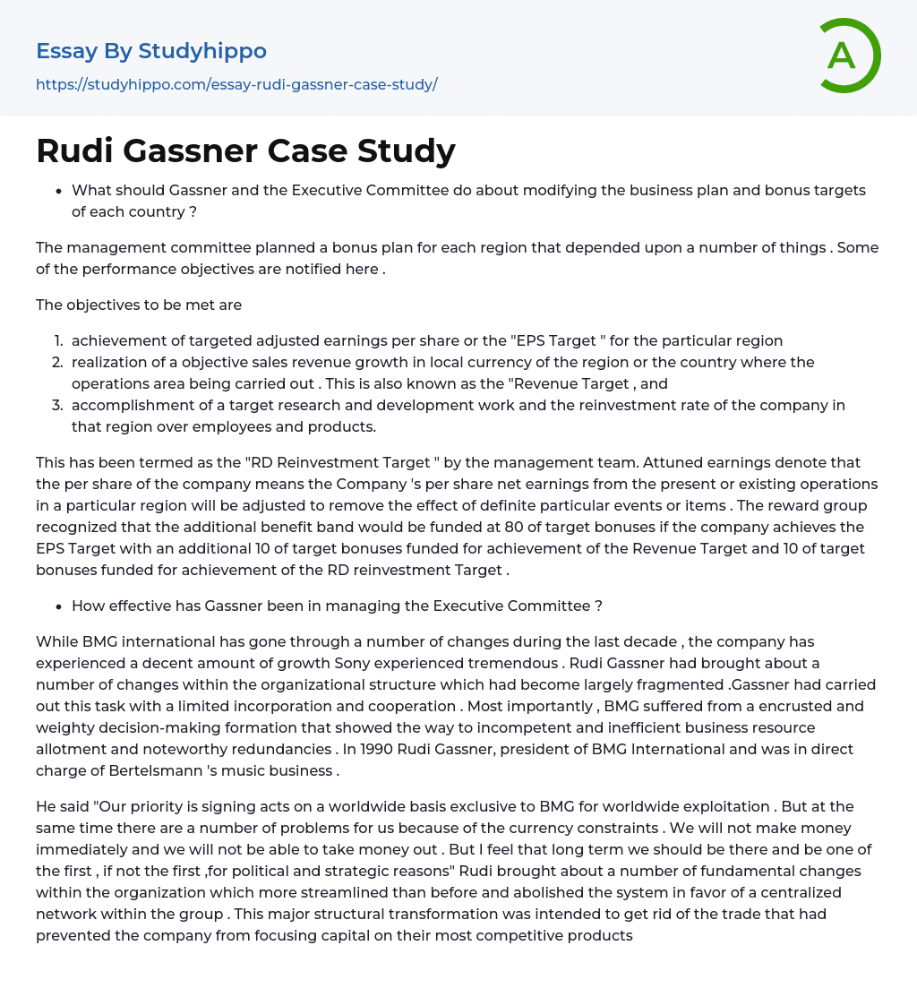 Rudi Gassner Case Study Essay Example