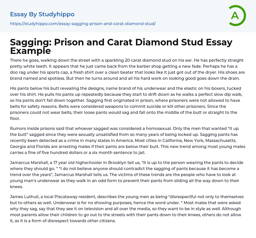Sagging: Prison and Carat Diamond Stud Essay Example