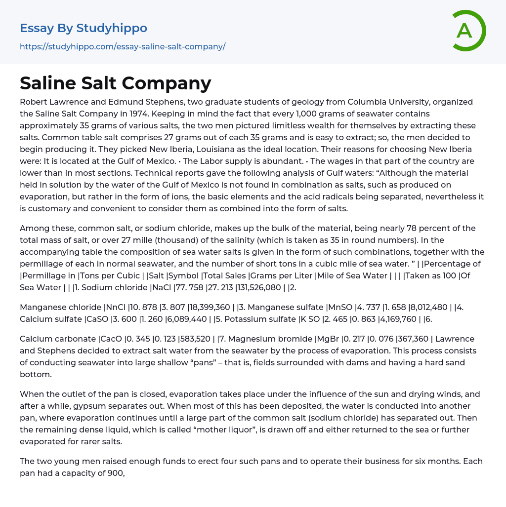 Saline Salt Company Essay Example