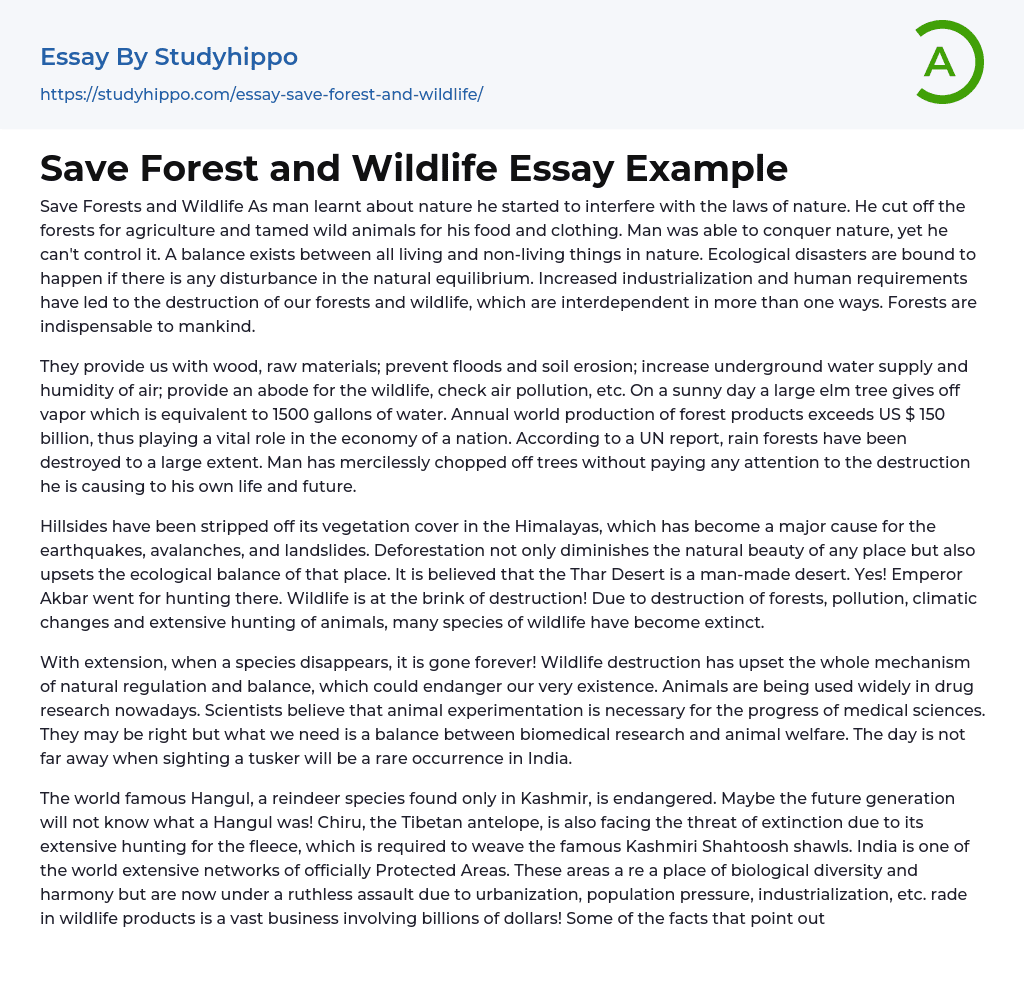 how to save wildlife essay