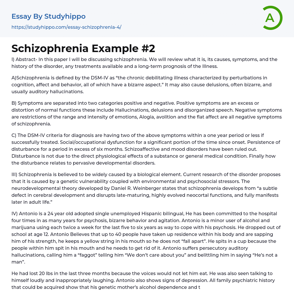 Schizophrenia Example #2 Essay Example