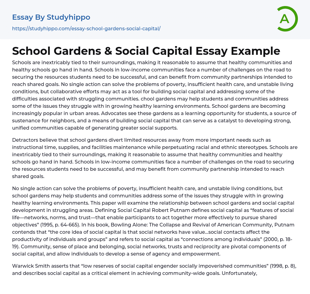 School Gardens & Social Capital Essay Example