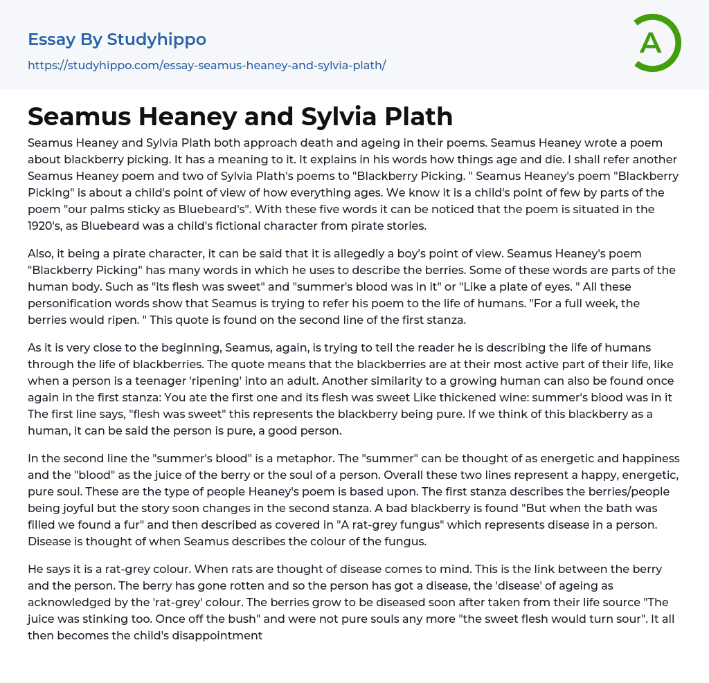 Seamus Heaney and Sylvia Plath Essay Example