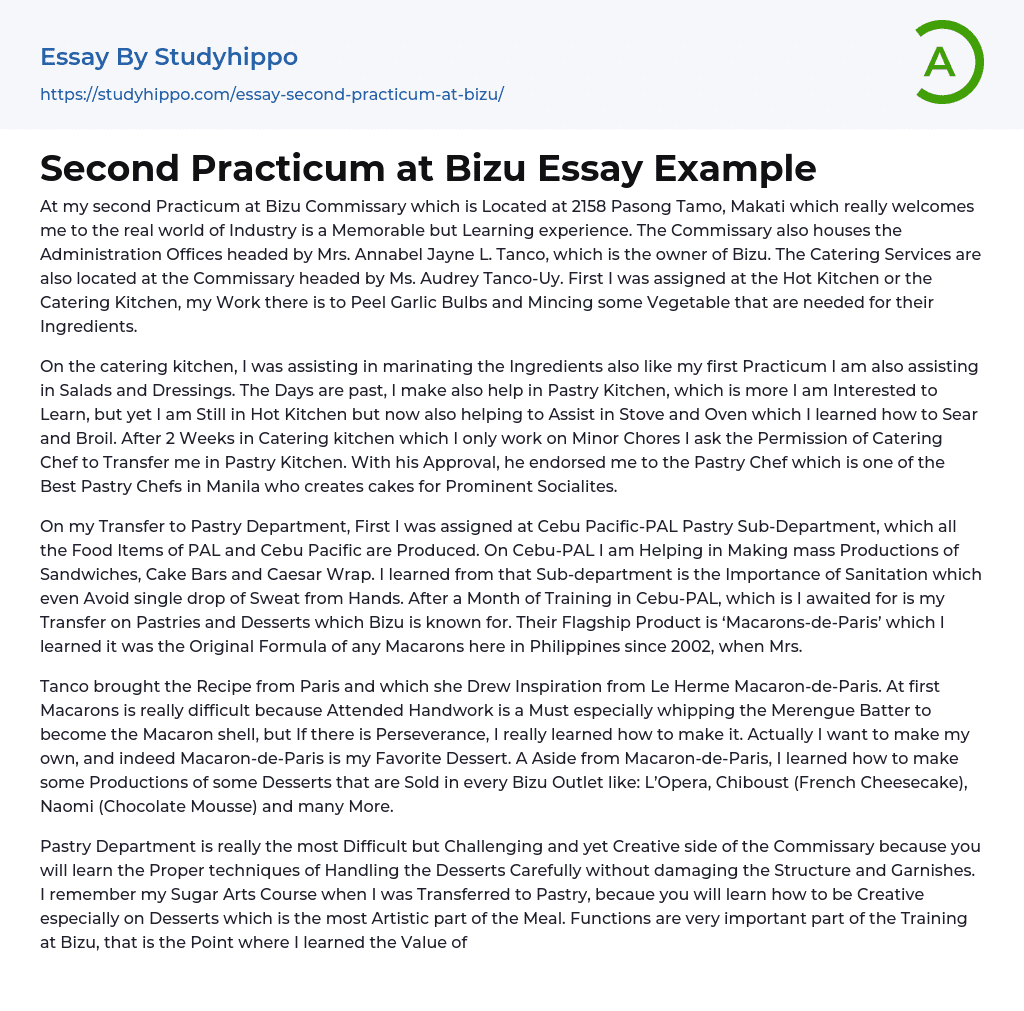 Second Practicum at Bizu Essay Example
