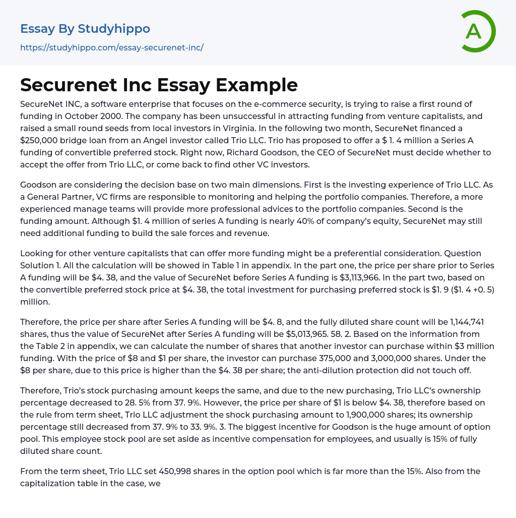 Securenet Inc Essay Example