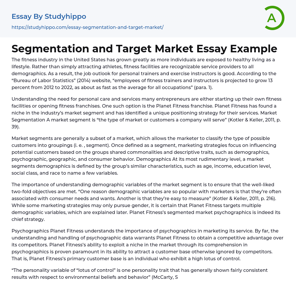 Segmentation and Target Market Essay Example