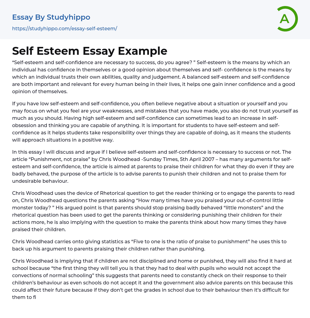 Self Esteem Essay Example StudyHippo