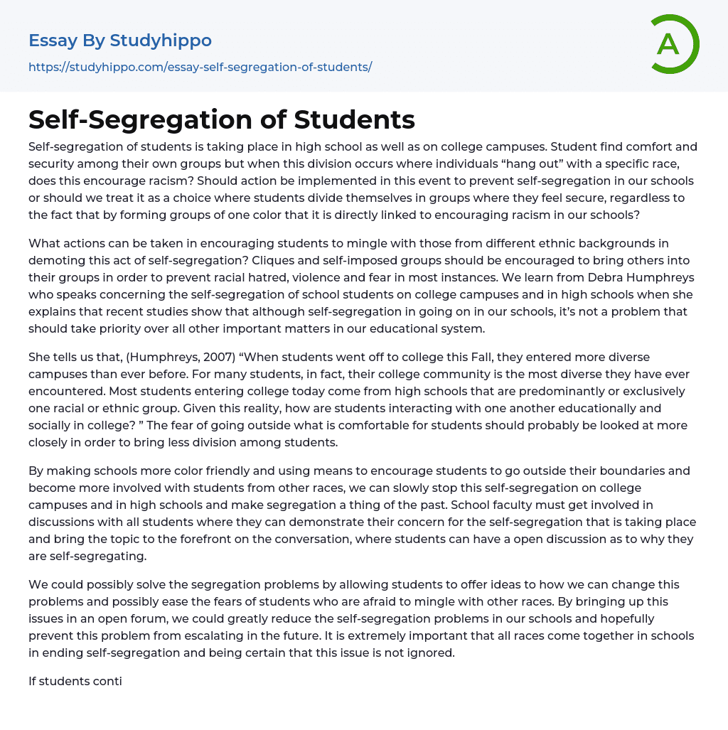 Self-Segregation of Students Essay Example