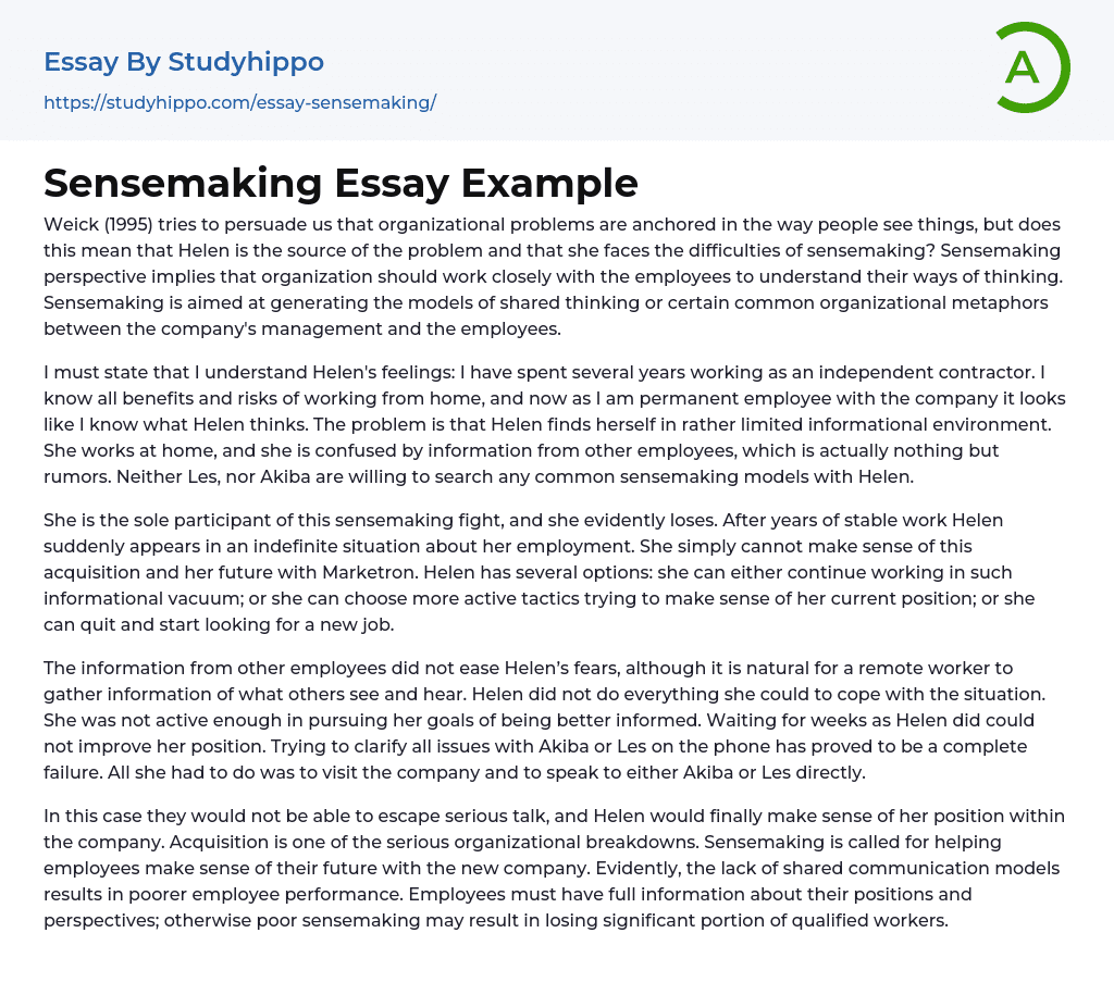 Sensemaking Essay Example