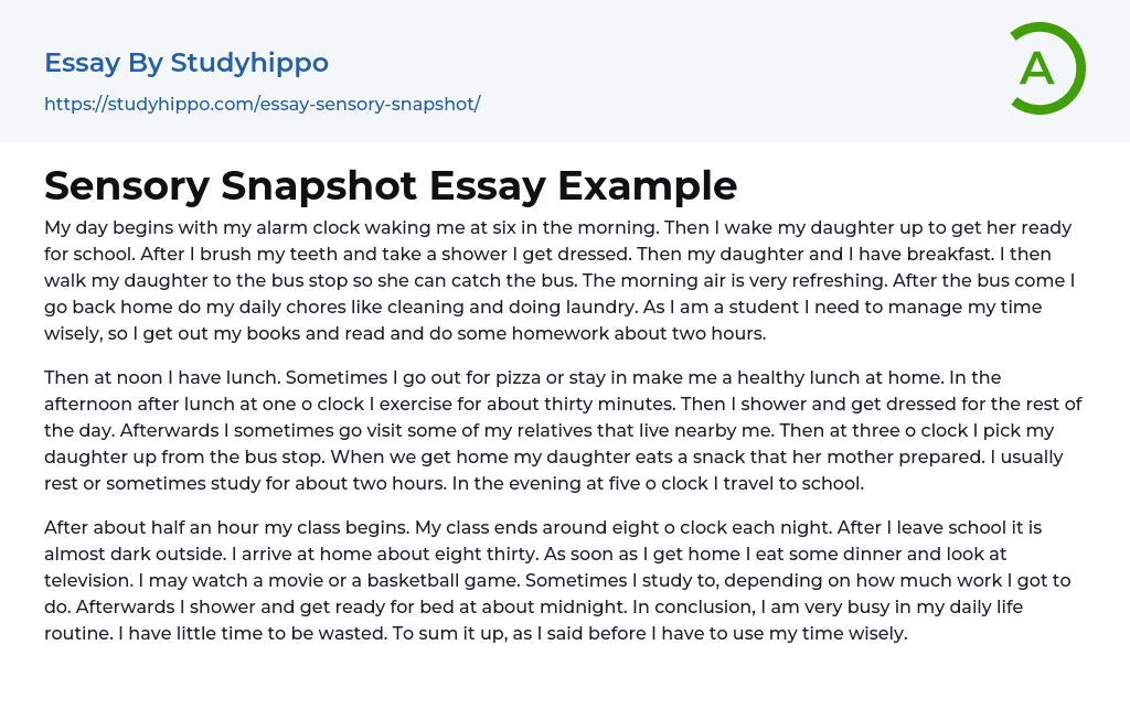 Sensory Snapshot Essay Example