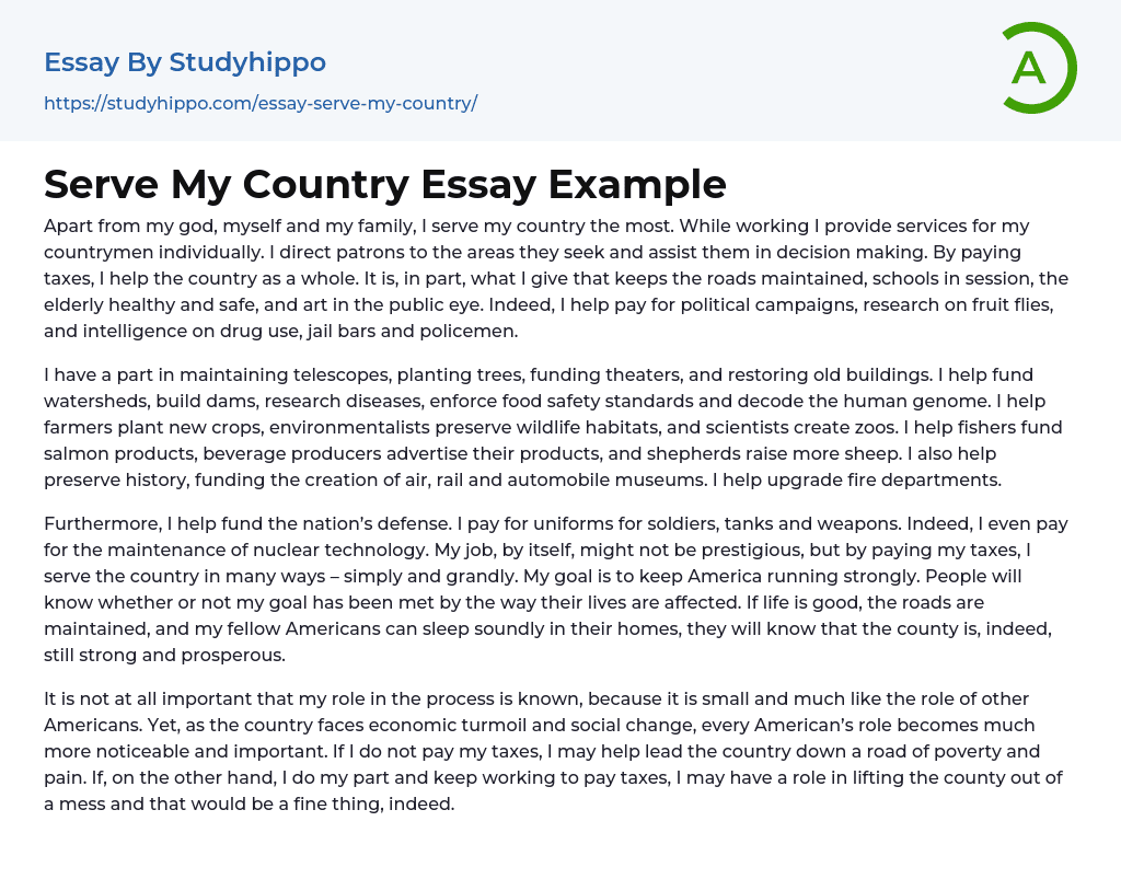 Serve My Country Essay Example