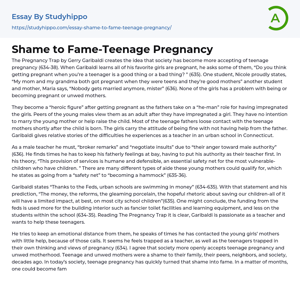 Shame to Fame-Teenage Pregnancy Essay Example